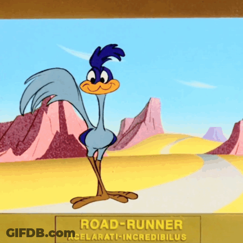 Road Runner Standing On Road GIF