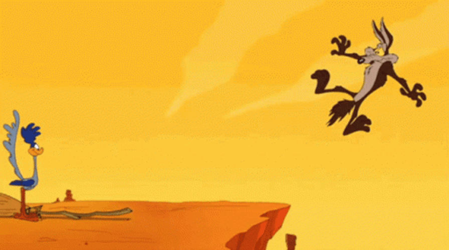Road Runner Watching Wile E. Coyote Falling Down GIF