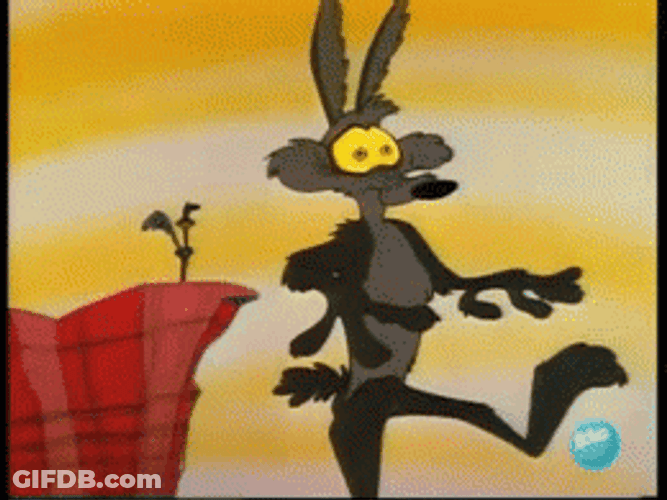 Road Runner Wile E. Coyote GIF