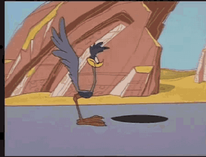 Road Runner Wins To Evil Plans Of Coyote GIF