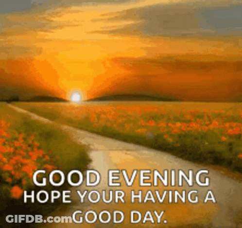 Road Through Flower Field At Sunset GIF