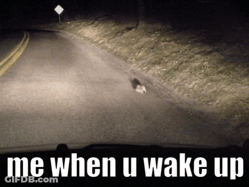 Road With Me When U Wake Up GIF