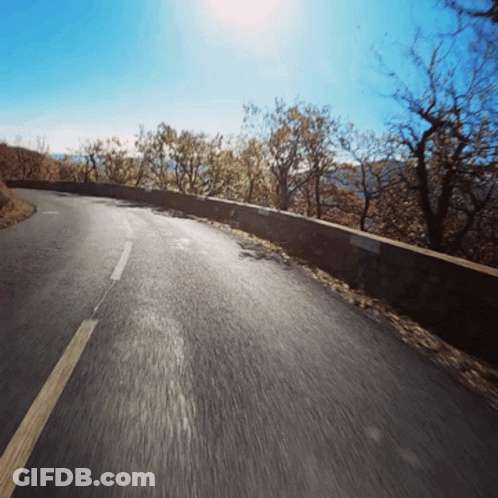 Road With Trees And Blue Sky GIF