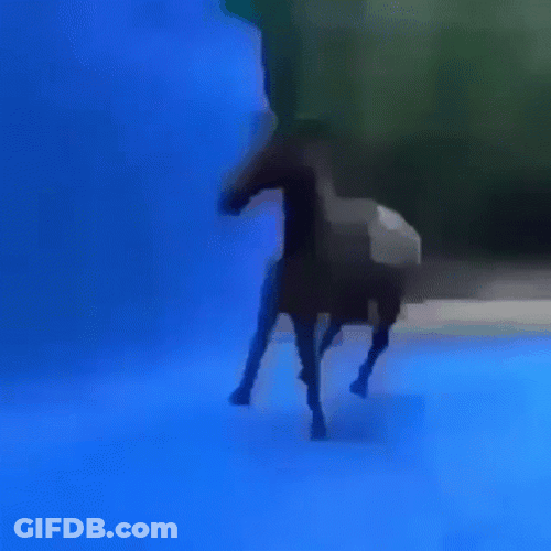 Roadhouse GIF