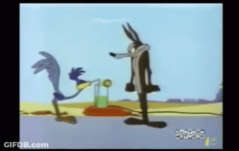 Roadrunner GIF