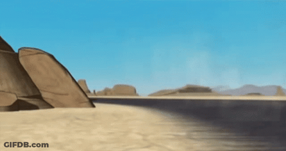 Roadrunner GIF