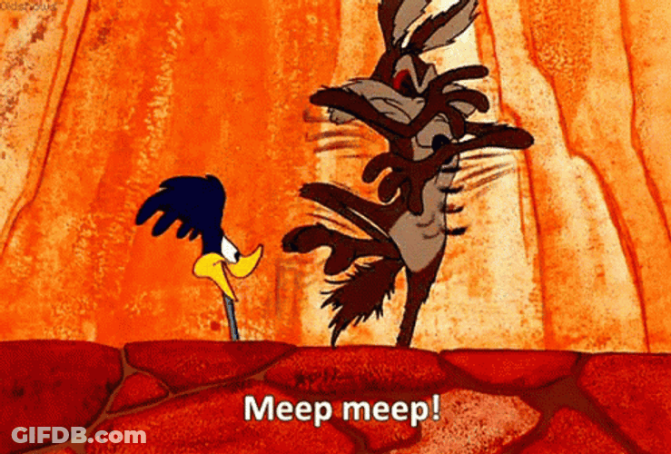 Roadrunner Coyote Arguing Meep GIF