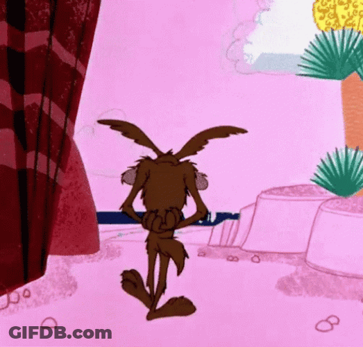 Roadrunner Coyote Waving Bye GIF