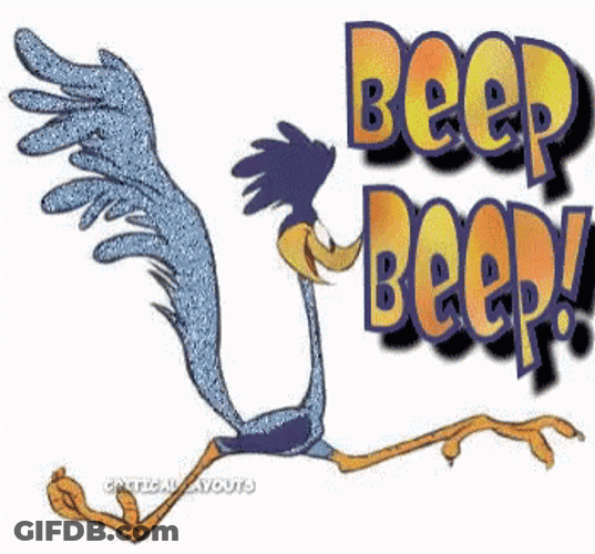 Roadrunner GIF