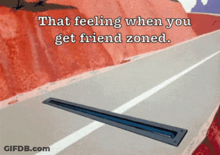 Roadrunner Get Friend Zoned GIF