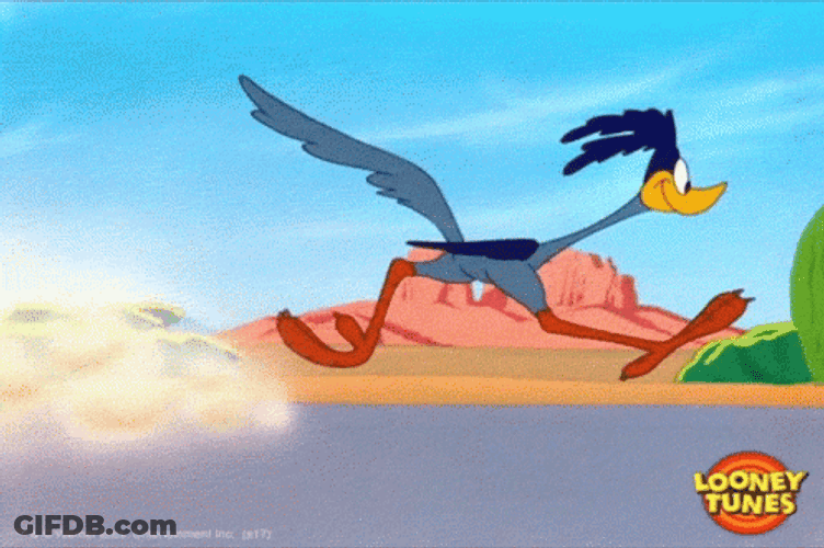 Roadrunner GIF