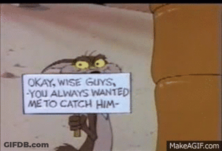 Roadrunner GIF