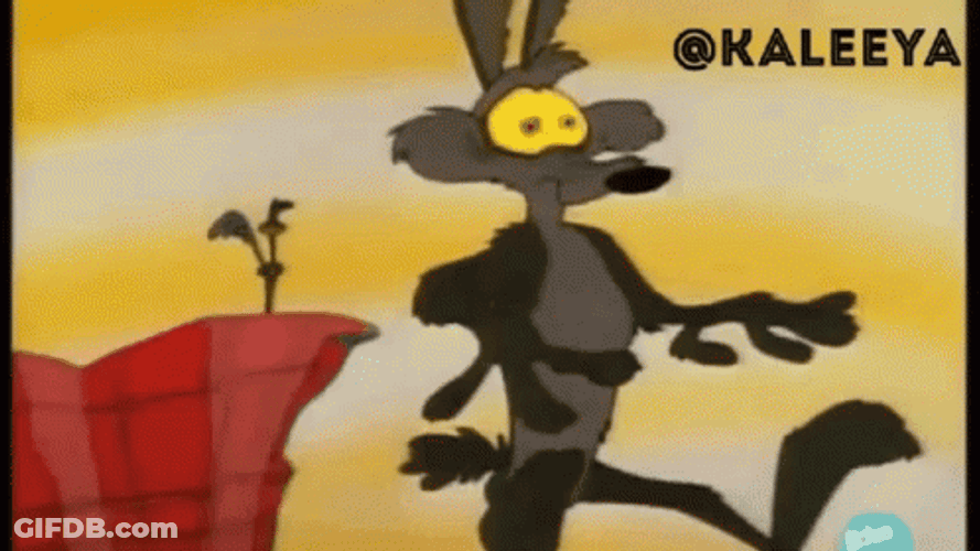 Roadrunner GIF