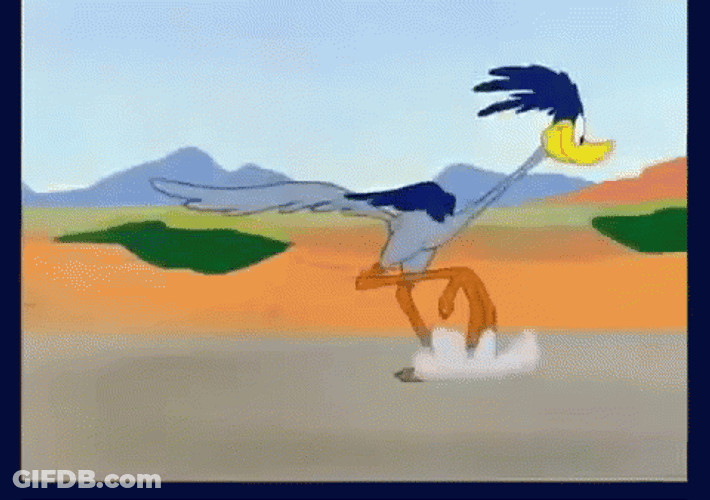 Roadrunner Slow Motion Sprinting GIF