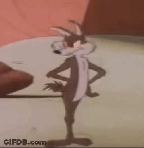 Roadrunner Sprinting Coyote GIF