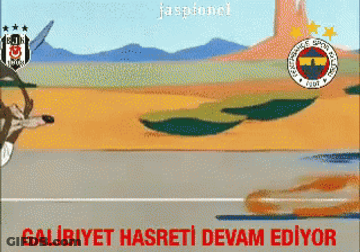 Roadrunner GIF