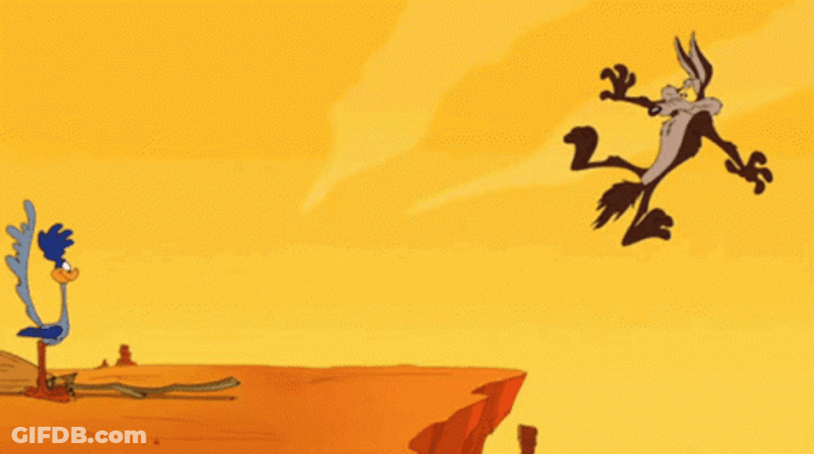 Roadrunner Watching Coyote Falling From Cliff GIF