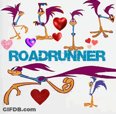 Roadrunner With Hearts And Balloons GIF