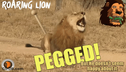 Roaring Lion Poster Saying Pegged GIF