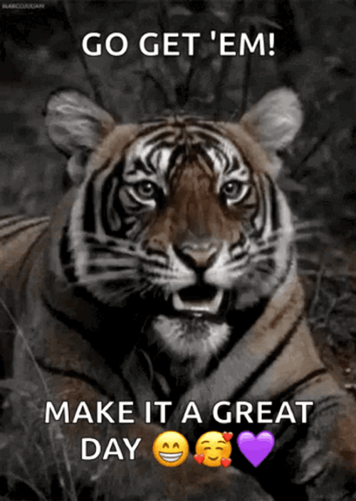 Roaring Tiger Make It A Great Day GIF