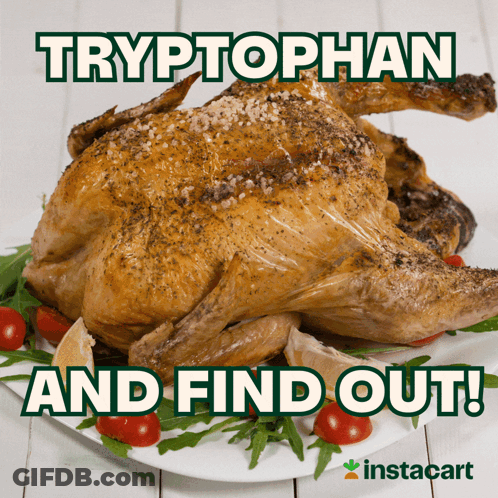 Roasted Chicken On Plate Saying Tryptophan And Find Out GIF