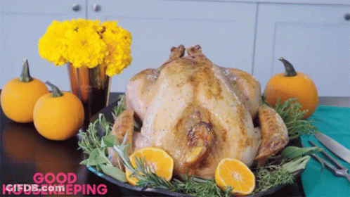 Roasted Chicken On Plate GIF