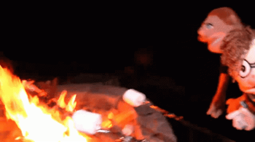 Roasted Marshmallow Campfire Party GIF
