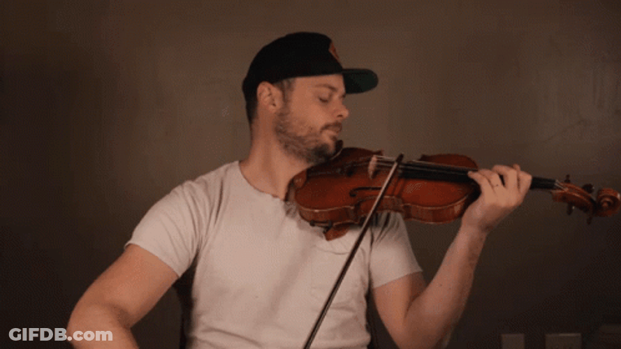 Rob Landes Violin GIF