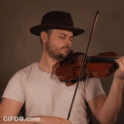 Rob Landes Violin GIF