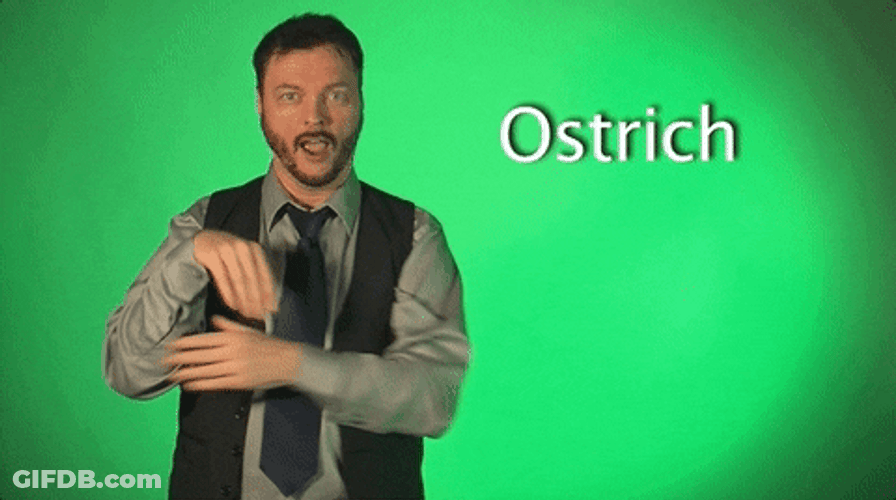 Robert De Mayo Ostrich Hand Gesture GIF