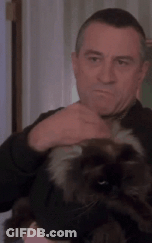 Robert De Niro Petting His Puppy GIF