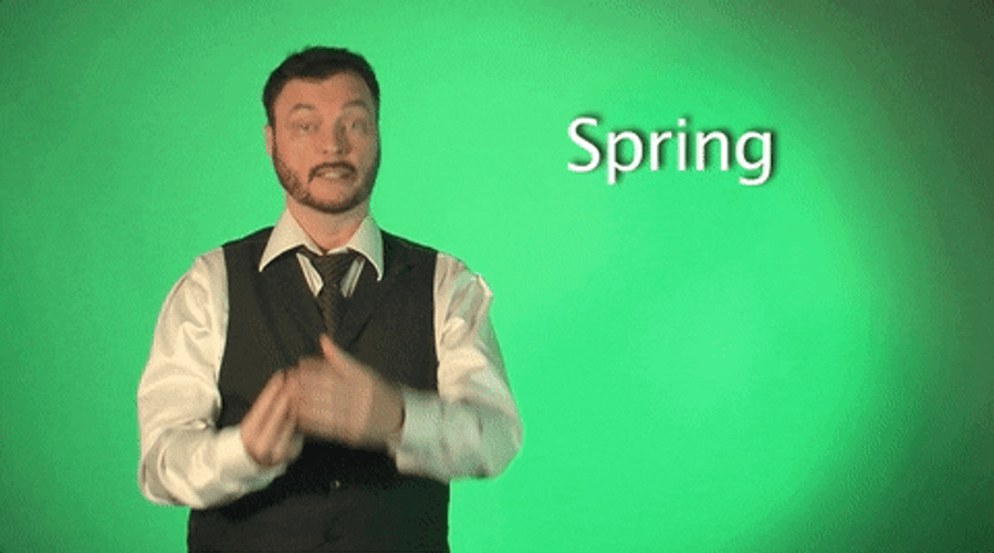 Robert DeMayo Spring GIF