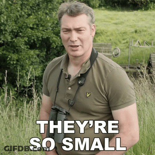 Robert Happy To See The Tiny Animals Around GIF