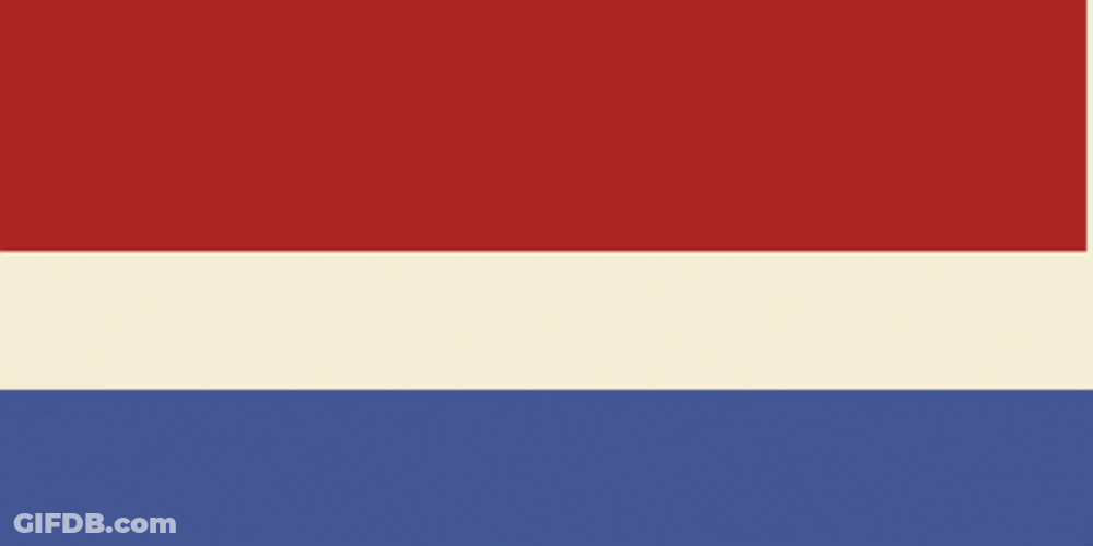 Robert Kennedy Jr Rfk For President GIF