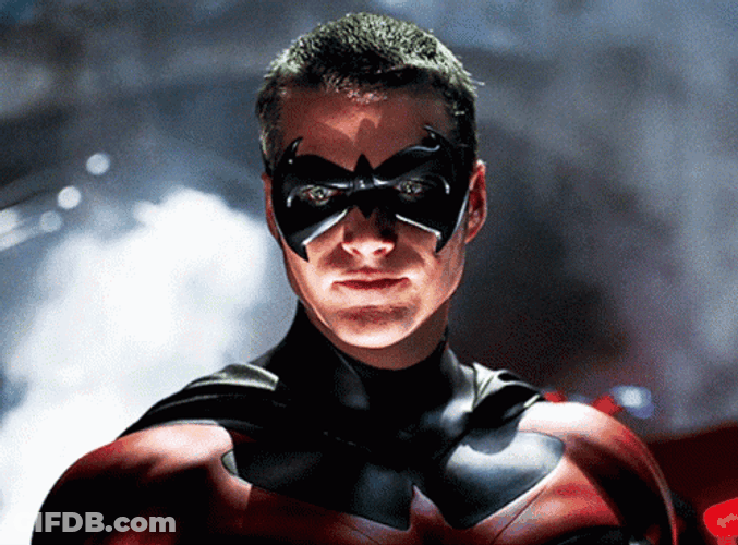 Robin GIF