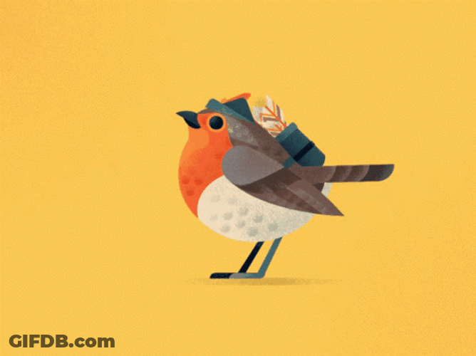 Robin GIF