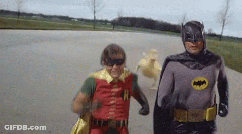 Robin And Batman In A Car GIF