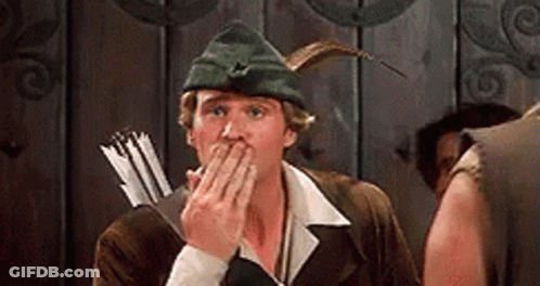 Robin Hood Men In Tights GIF