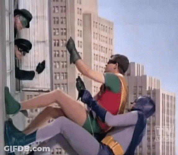 Robin GIF