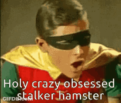 Robin Is Wearing A Mask And Cape And Says Holy Crazy Obsessed Stalker Hamster . GIF
