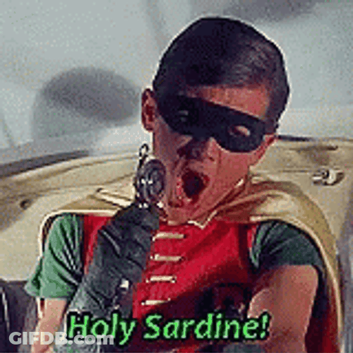 Robin GIF