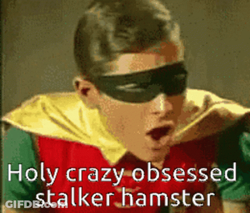 Robin Wearing Mask And Sunglasses Saying Holy Crazy Obsessed Stalker Hamster GIF