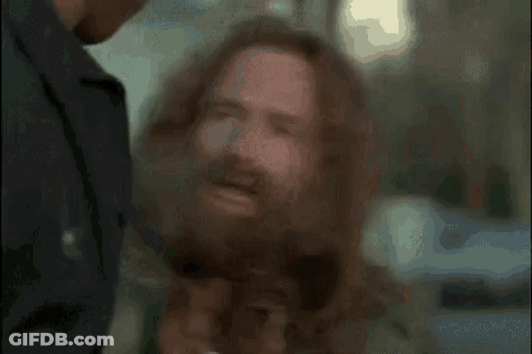Robin Williams Jumanji GIF