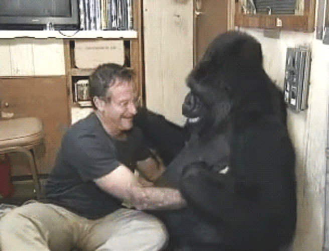 Robin Williams Koko Happy Tears GIF
