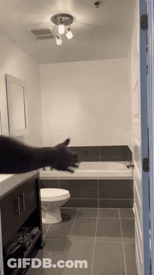 Roblox Robotic Movement Meme GIF