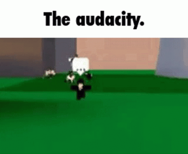 Roblox The Audacity GIF