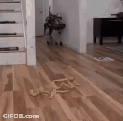 Robot Dog Slipping GIF