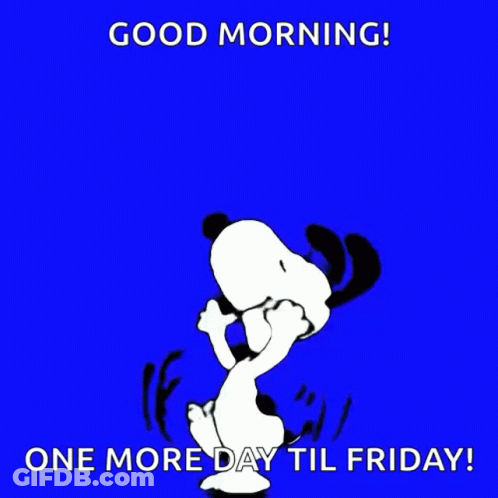 Robot In Blue Sweater Saying Digi 995 GIF