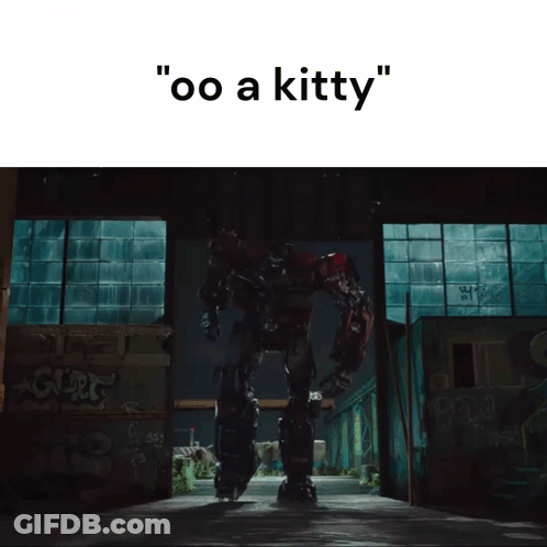 Robot Saying Oo A Kitty GIF