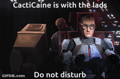 Robot With Cacticaine Do Not Disturb GIF